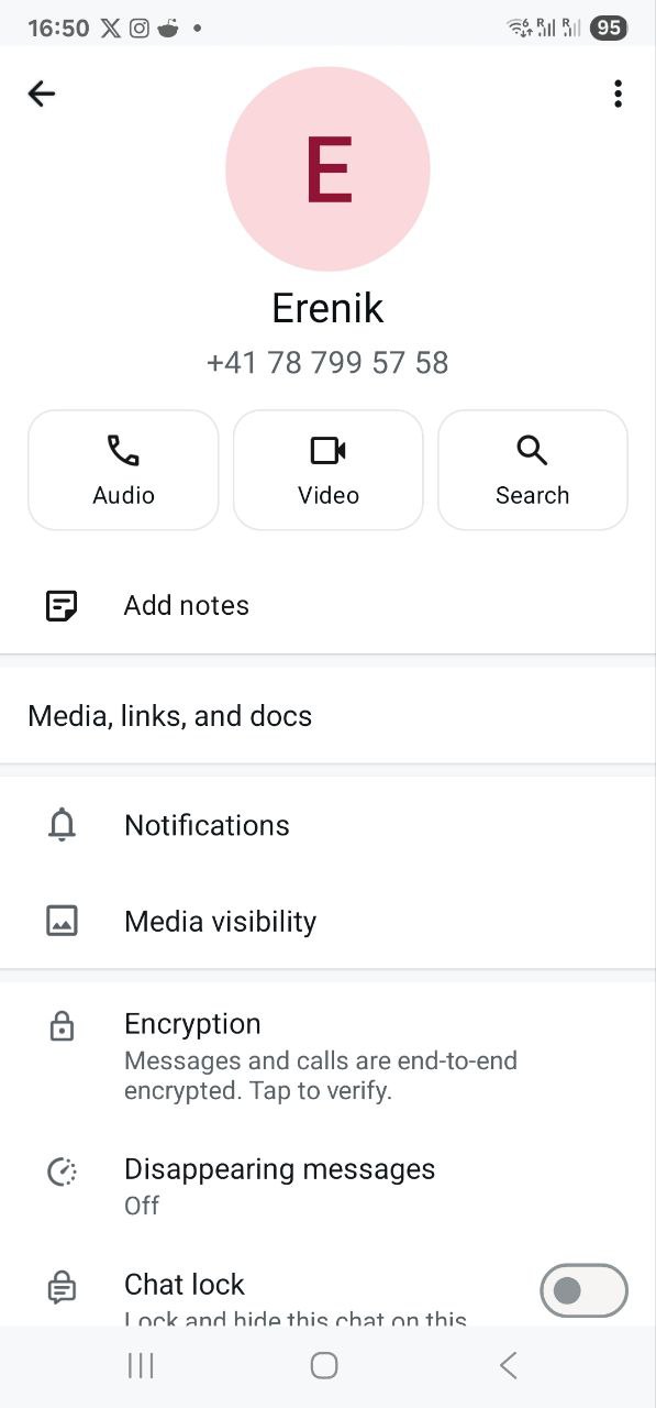 WhatsApp screenshot 5 with Erenik Yzeiraj following up later that day